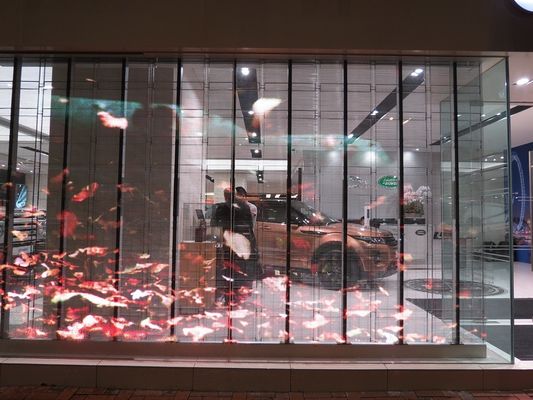 Waterproof a cor completa conduzida transparente exterior 5500CD/㎡ da exposição de 20mm